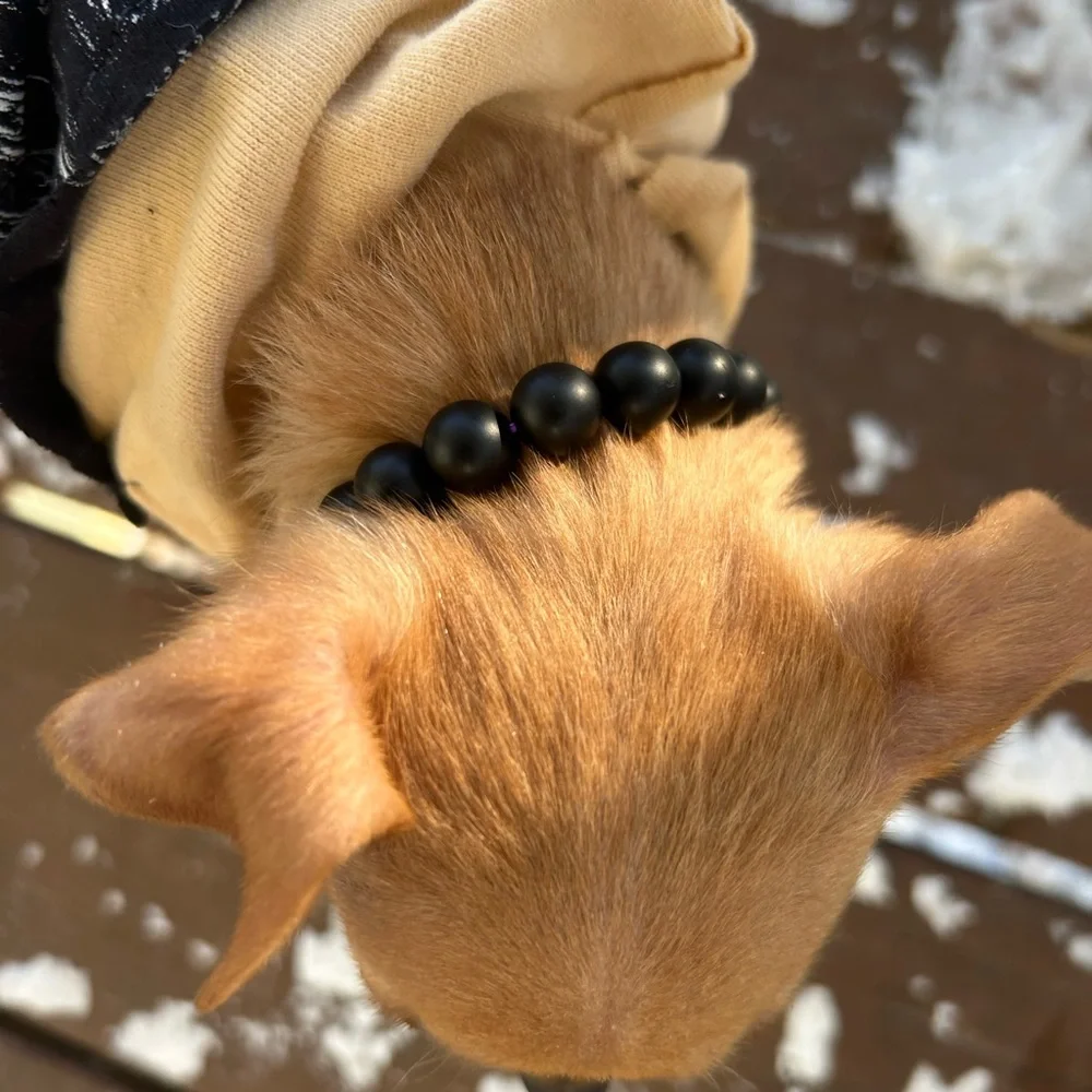 C U S T O M•O R D E R S puppy collars elastic beaded healing stones NWT